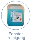 Fensterreinigung